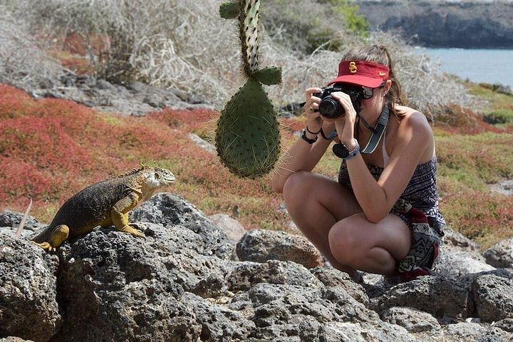 Full Day Plazas & Carrion Point - Photo 1 of 13